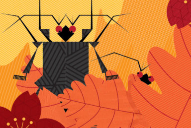 insectopia
